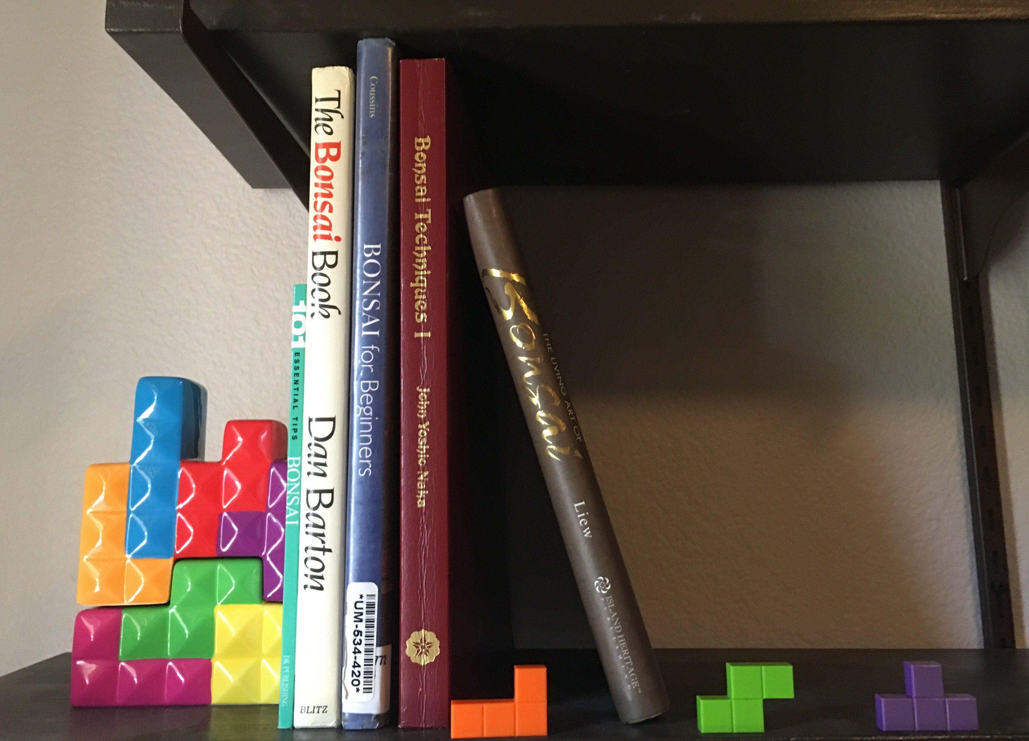 Use Your Tetris Skills to Organize Your Bookshelf